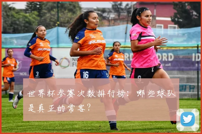 世界杯参赛次数排行榜:哪些球队是真正的常客?