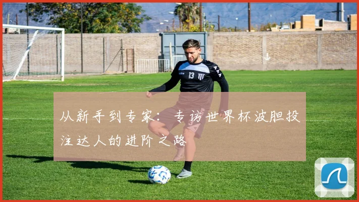 从新手到专家:专访世界杯波胆投注达人的进阶之路