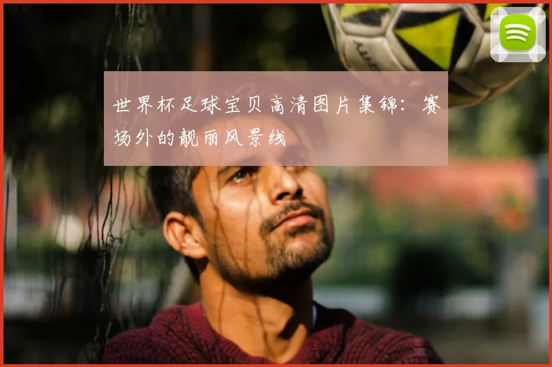 世界杯足球宝贝高清图片集锦：赛场外的靓丽风景线
