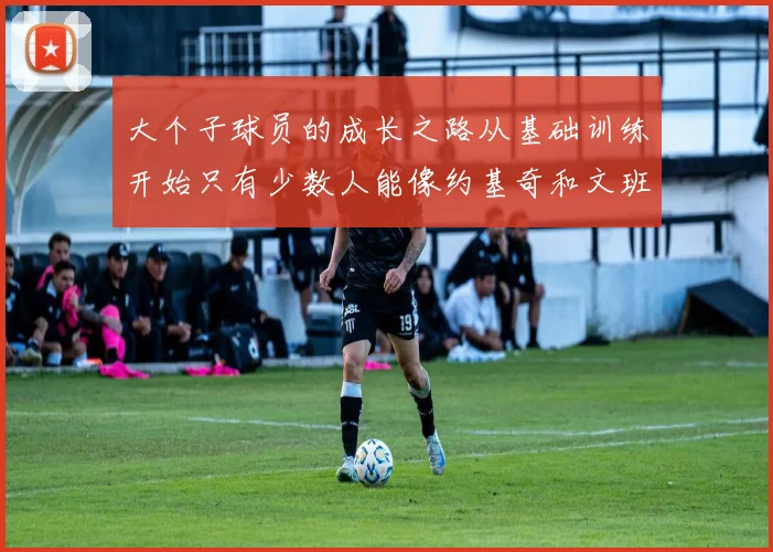 大个子球员的成长之路从基础训练开始只有少数人能像约基奇和文班那样成功