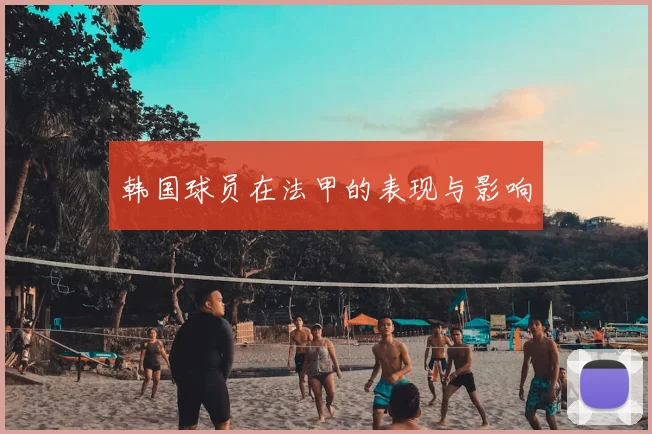 韩国球员在法甲的表现与影响