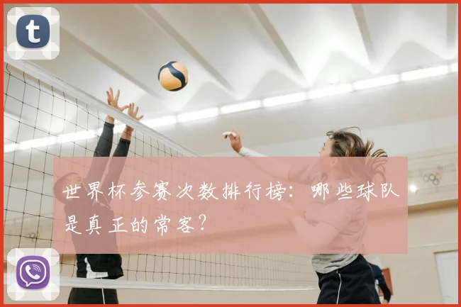 世界杯参赛次数排行榜:哪些球队是真正的常客?