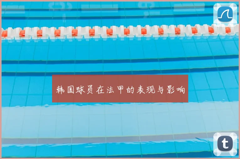 韩国球员在法甲的表现与影响