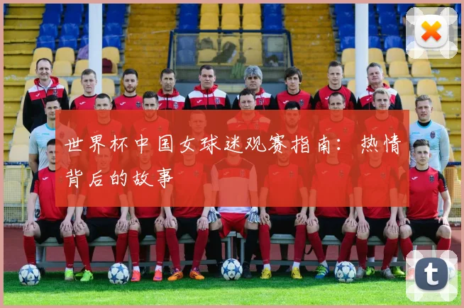 世界杯中国女球迷观赛指南:热情背后的故事