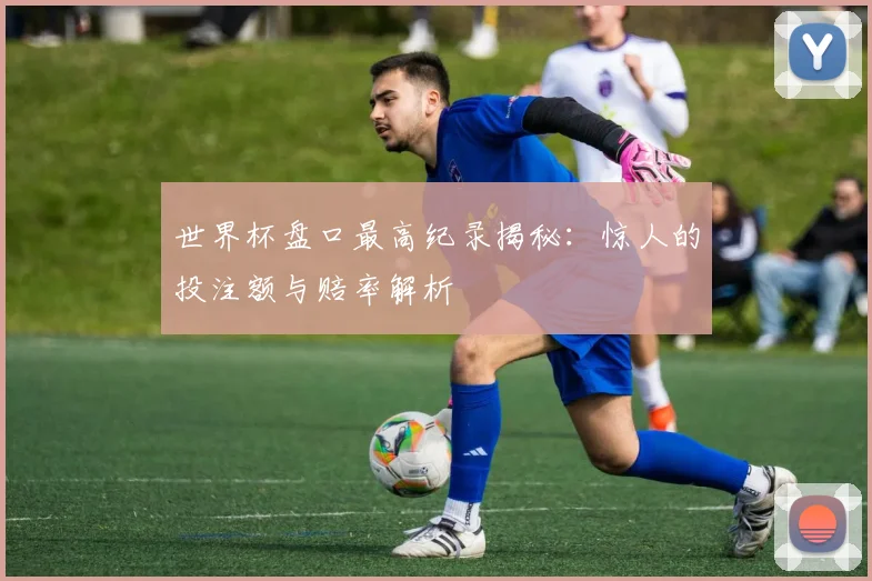 世界杯盘口最高纪录揭秘:惊人的投注额与赔率解析