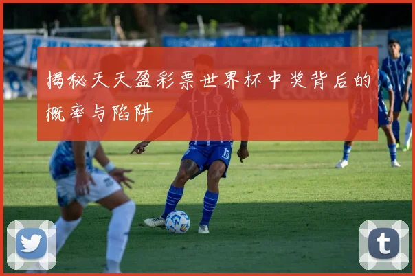 揭秘天天盈彩票世界杯中奖背后的概率与陷阱